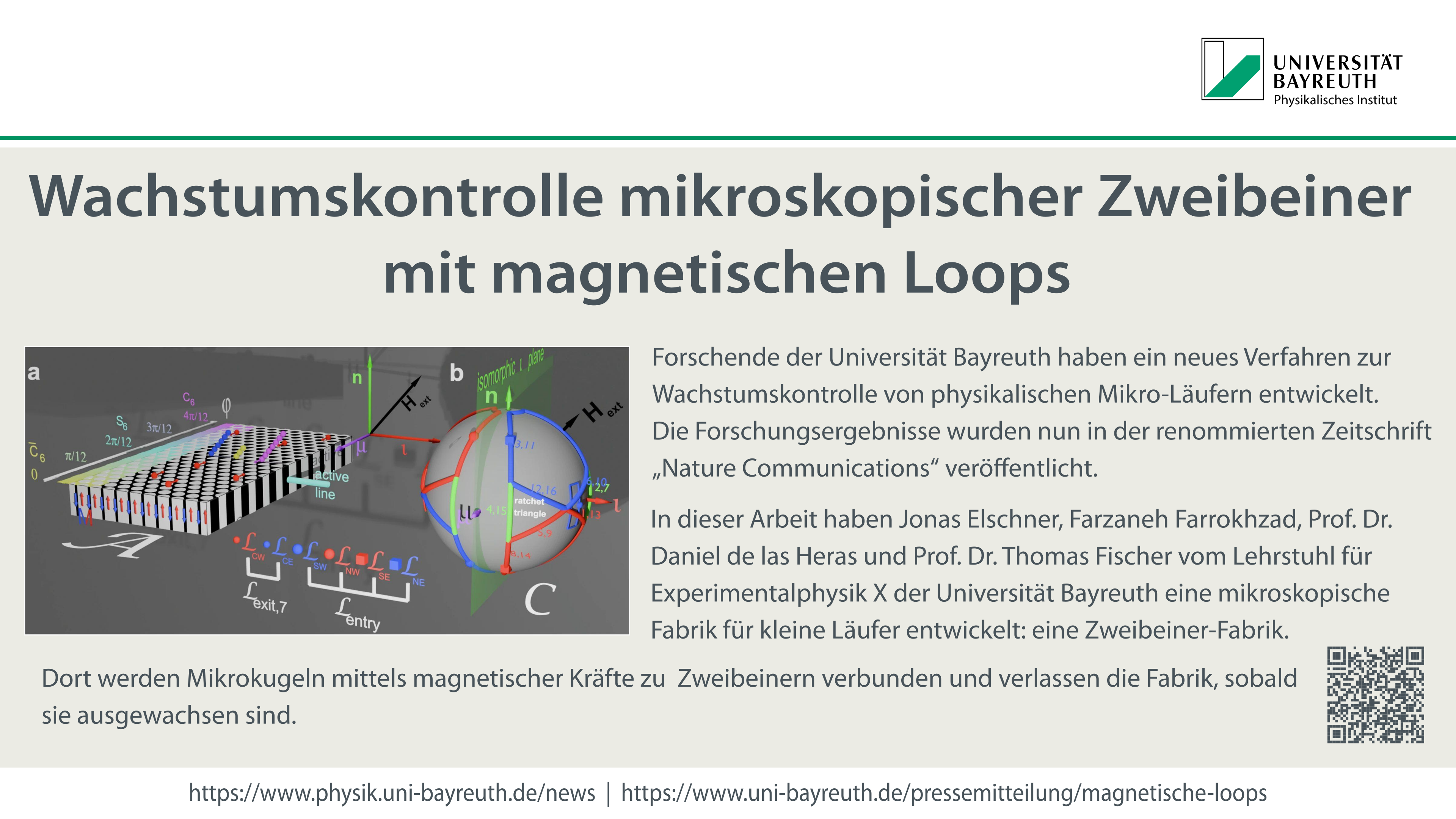 Wachstumskontrolle mikroskopischer Zweibeiner mit magnetischen Loops