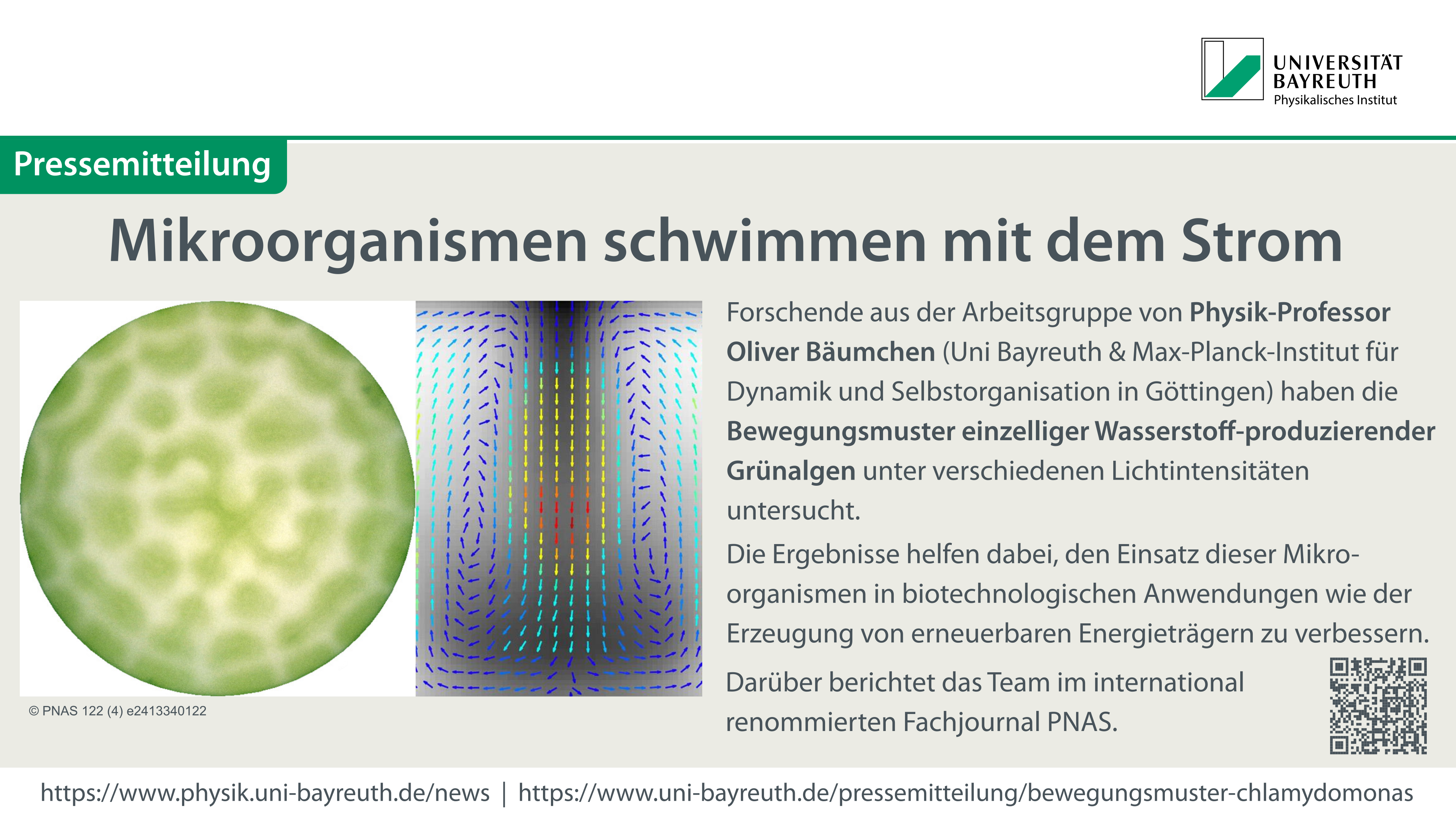 Mikroorganismen schwimmen mit dem Strom