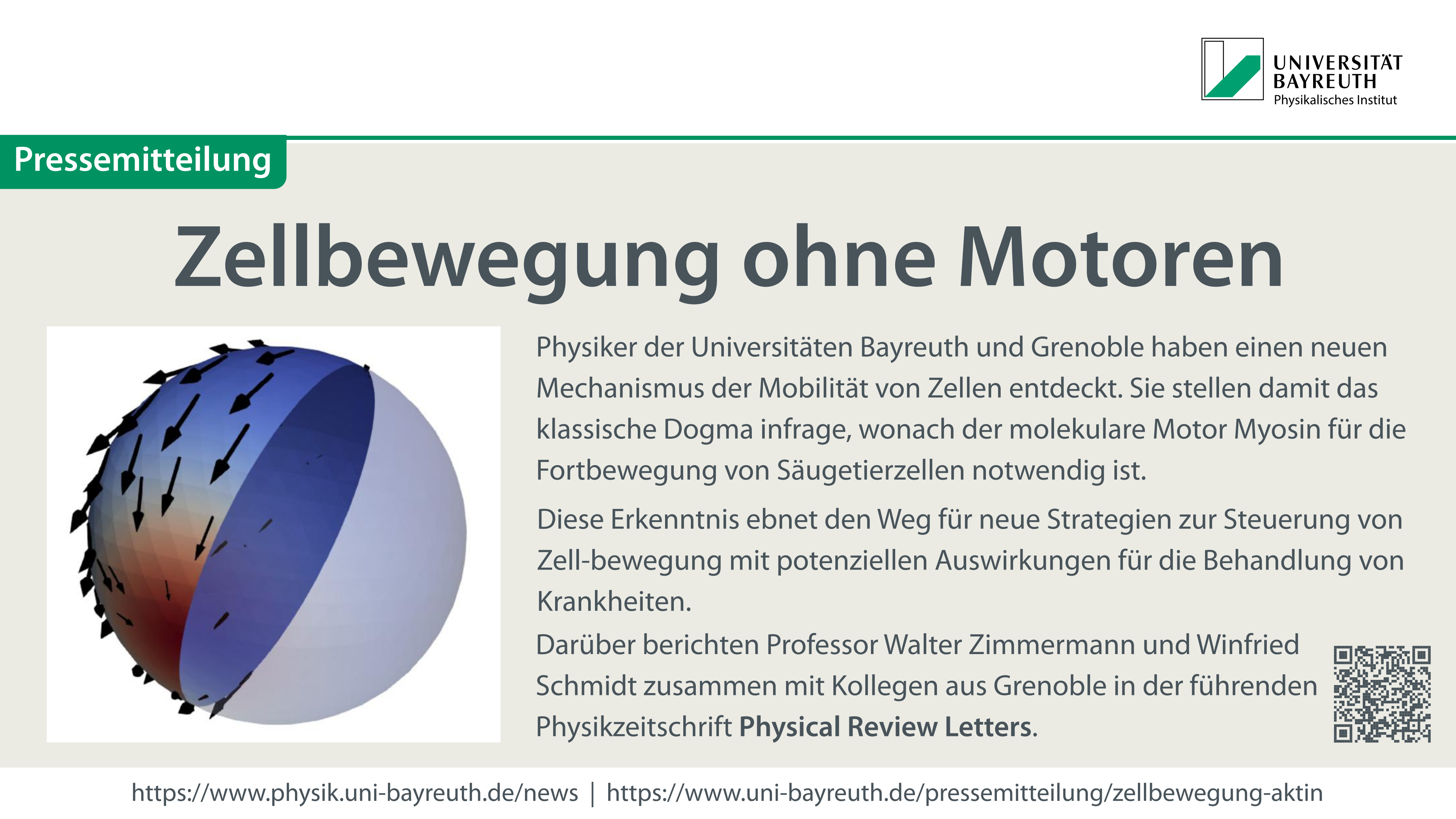 Zellbewegung ohne Motoren